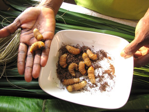 Common Food Products That Secretly Contain Bugs